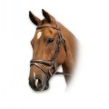 SABRE EMBOSSED HUNT FLASH BRIDLE